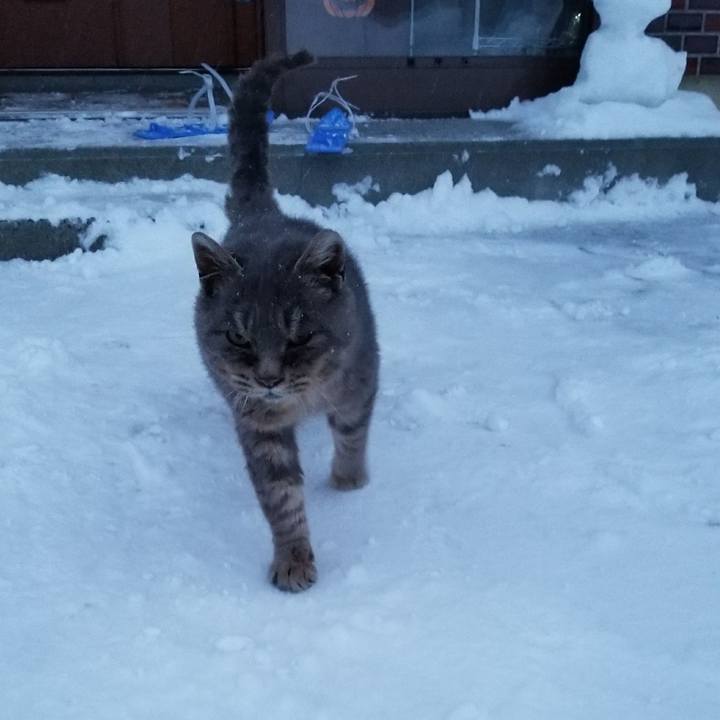 07f2c622 09e4 41b7 b5a9 fb2df6c41dc3 1518785336236