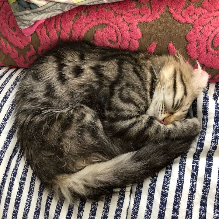 07f2da65 c2b3 47fd 9003 628dfe45eb9e 1615703674086