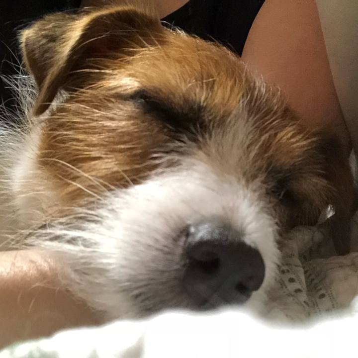 07f306f1 082c 4ed6 a4f9 4fd621a15e42 1531572302027