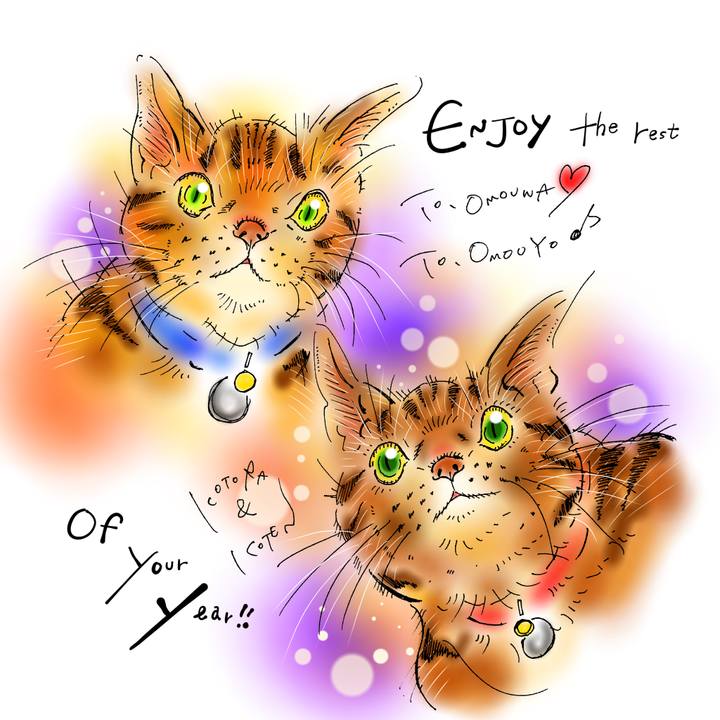 07f331ad a709 40da 9869 834ff50abf0d 1672095249707