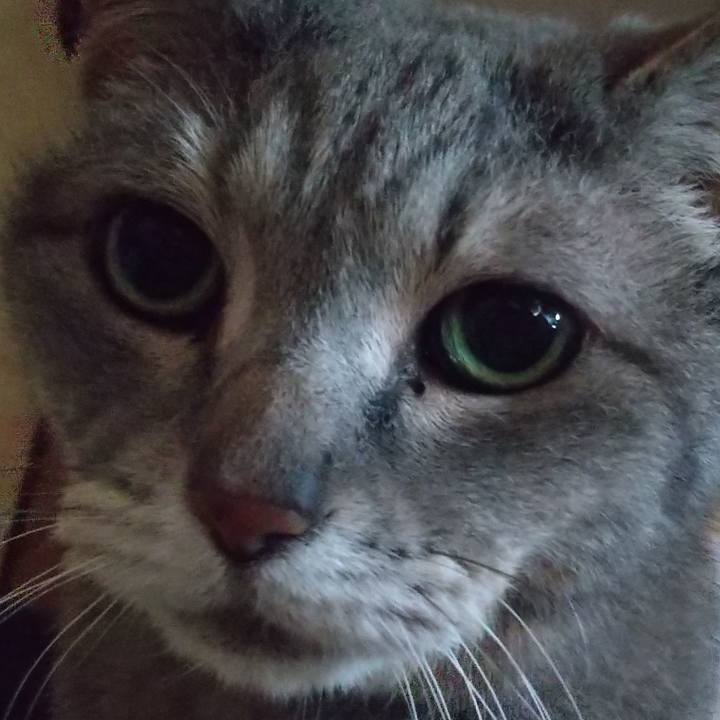 07f36747 0bcf 443c a3f0 42764801b544 1686865393244