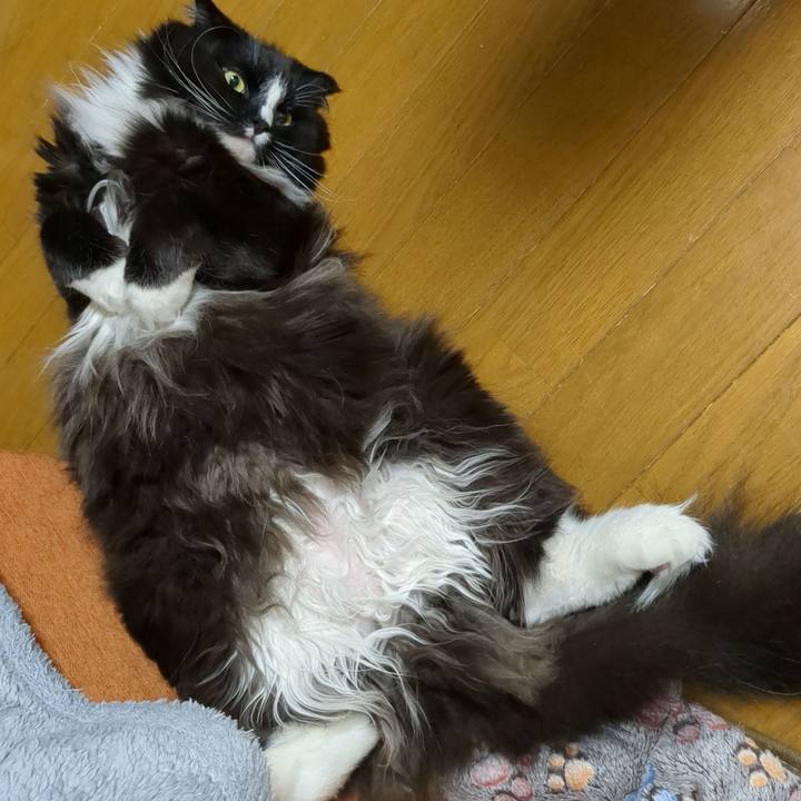 07f36edd a6f3 4442 917d 4bbd4578047d 1681162460257