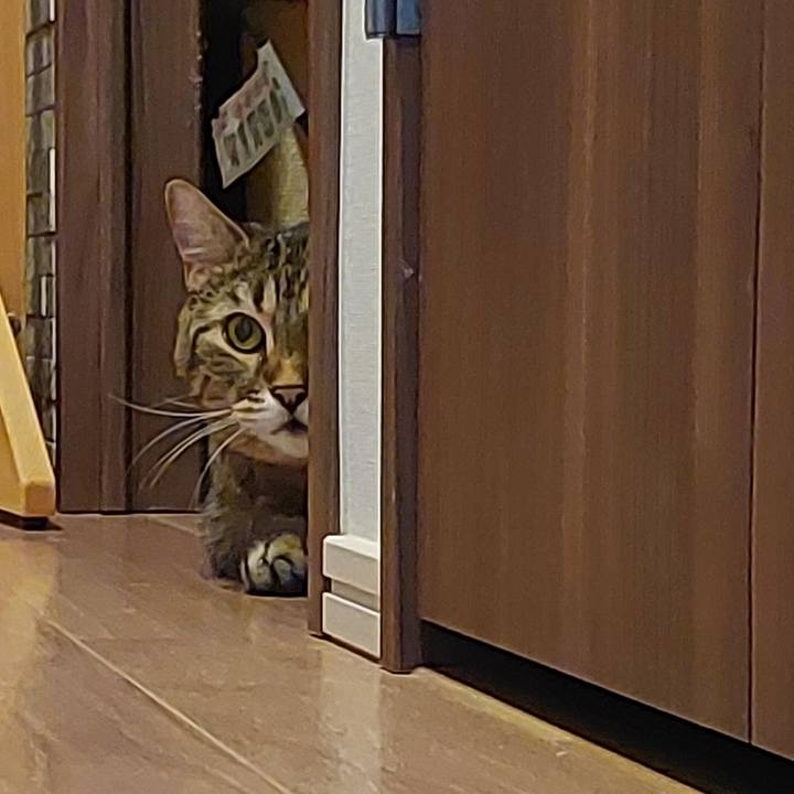 07f3775b d7f3 4e22 96f9 36cf25184e27 1724019091823