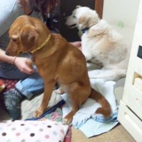 07f39912 e4c2 4e64 b5a5 e1cba8a9f439 1523942657223