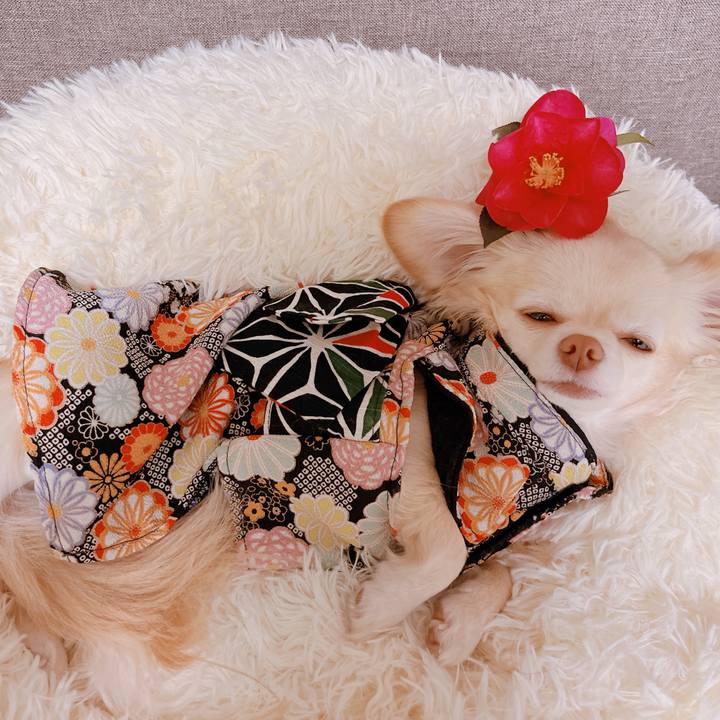 07f3e80a 2828 4e63 b4de 436cd7187906 1673679145806