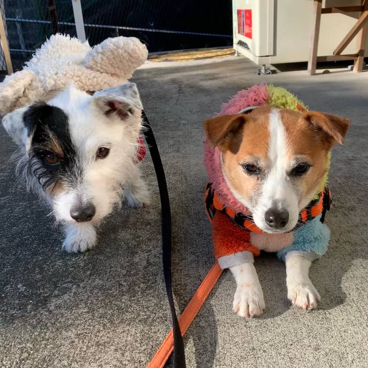 07f3f66a fd12 4b02 a987 ee4ec7e3ce16 1641688777246