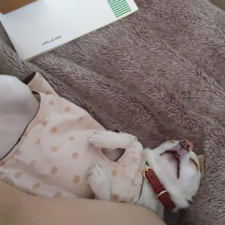 07f43cde 7859 4a1c 9a49 e716b8f9618c 1749340899857