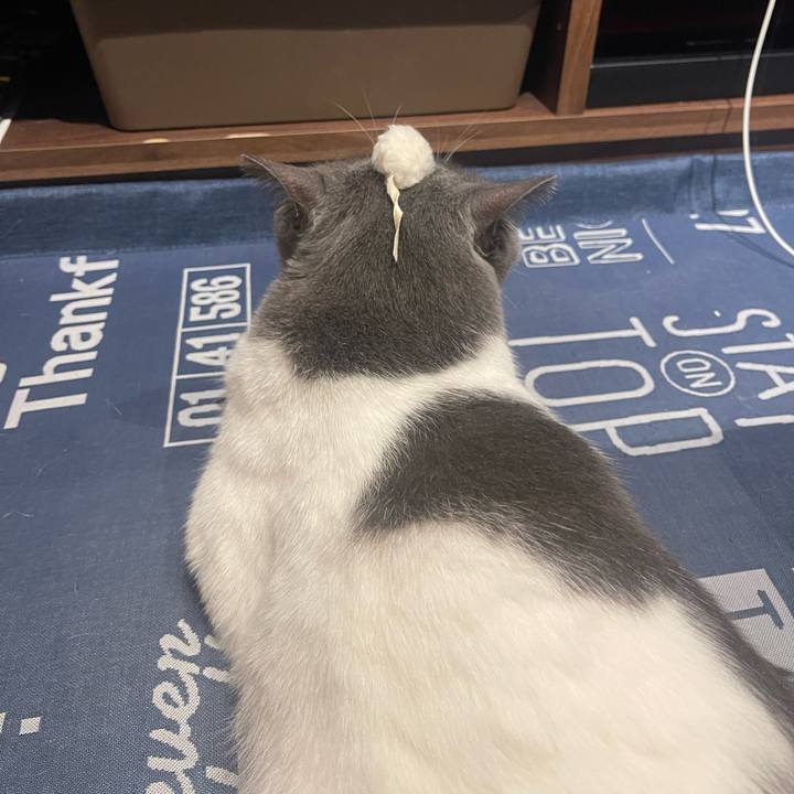 07f43eca 81b6 42d3 a846 7c1f364637b5 1692969144697