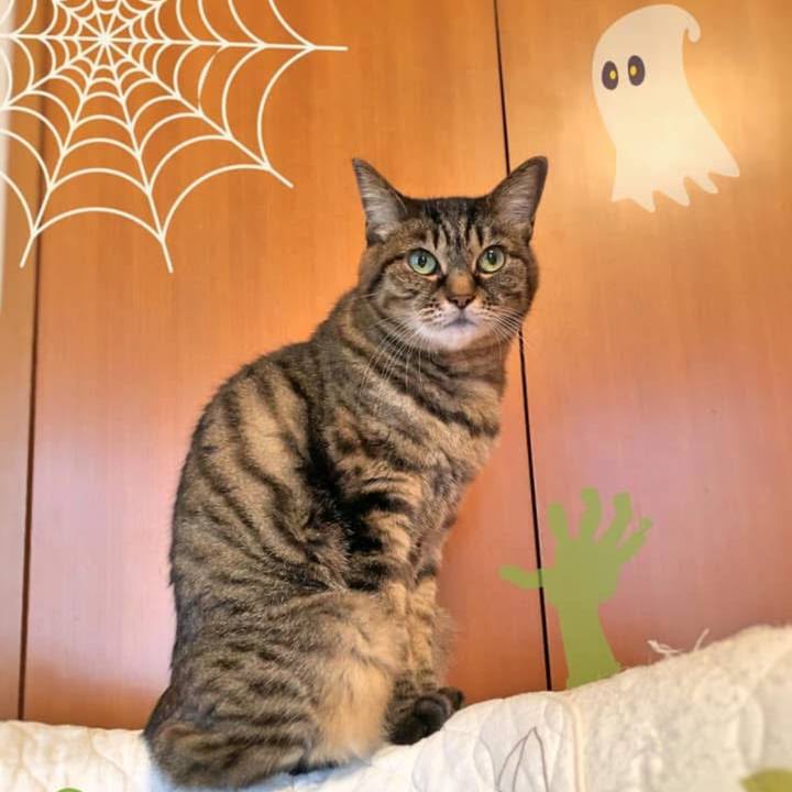 07f44039 d774 47c6 ba67 b7c7eaa182ab 1761257927700