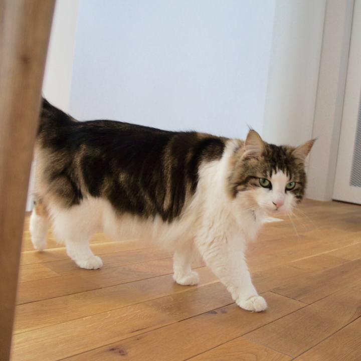 07f4415f 4751 4b99 9aa6 5c72a7ca262f 1534373741800