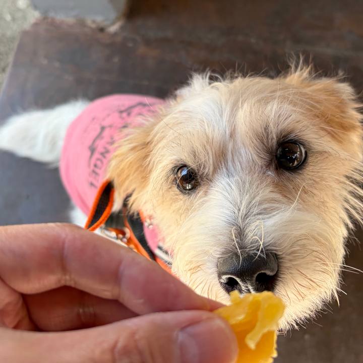 07f469b4 1807 4576 bc8c ea7bcc8101e1 1773468358663