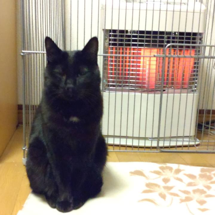 07f49a1d 794d 440f b20f 1045fc012121 1640855763779