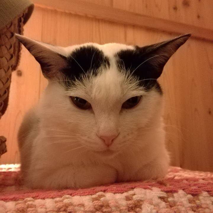 07f4acf5 3bc3 48e0 bfb0 6dfaf5959497 1523880752536