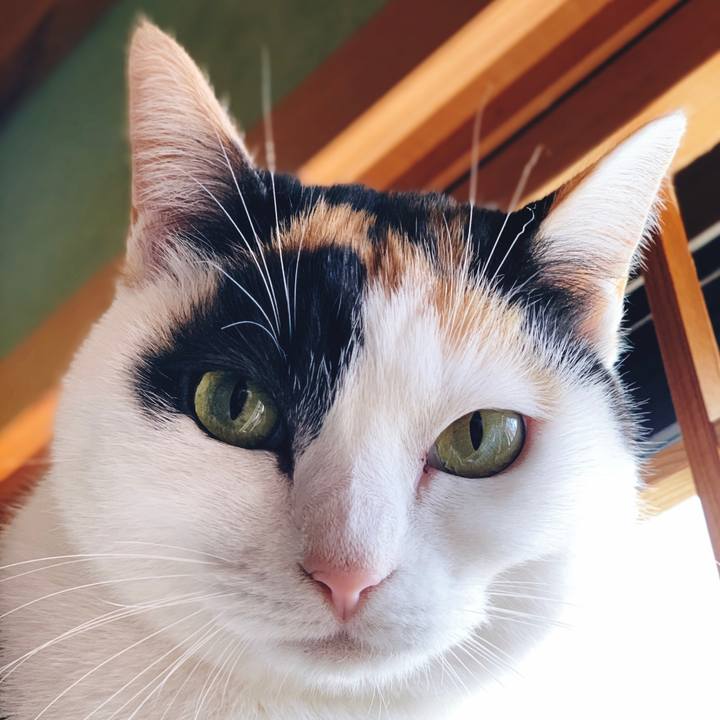 07f4cff6 96c9 4e64 a943 51f480ff60f3 1555723924934