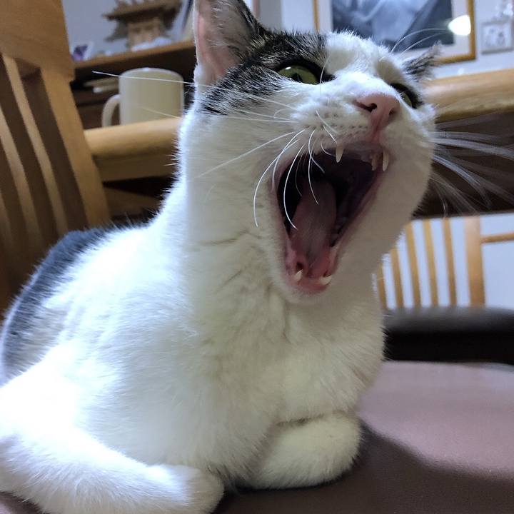 07f4d682 9ea9 421e a0b5 50720218c3fe 1658667376690