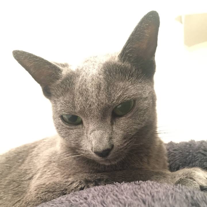 07f5271b 8f3a 4ee5 8cd3 531db6cf228b 1544520280190