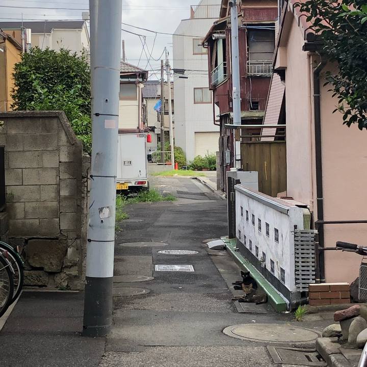 07f532ca d035 43eb b283 04a7206b5486 1565877444451