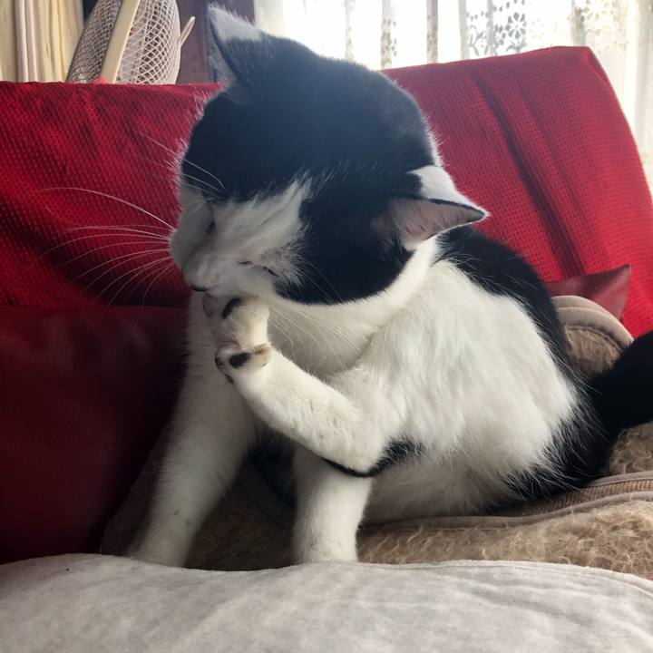 07f53c62 0172 42f9 b457 c9b983ed5c29 1572687906086