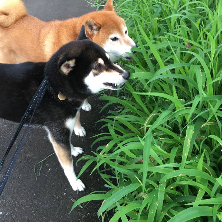 07f549ce 8454 46b1 a1b7 b30b5ff0f10c 1629839302138