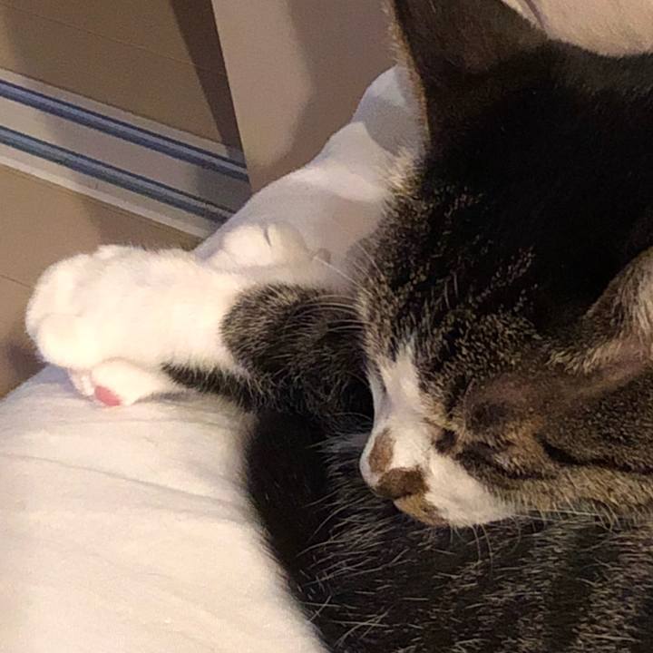 07f55db7 162b 472b 99d0 2f4f17d5828d 1529674633169