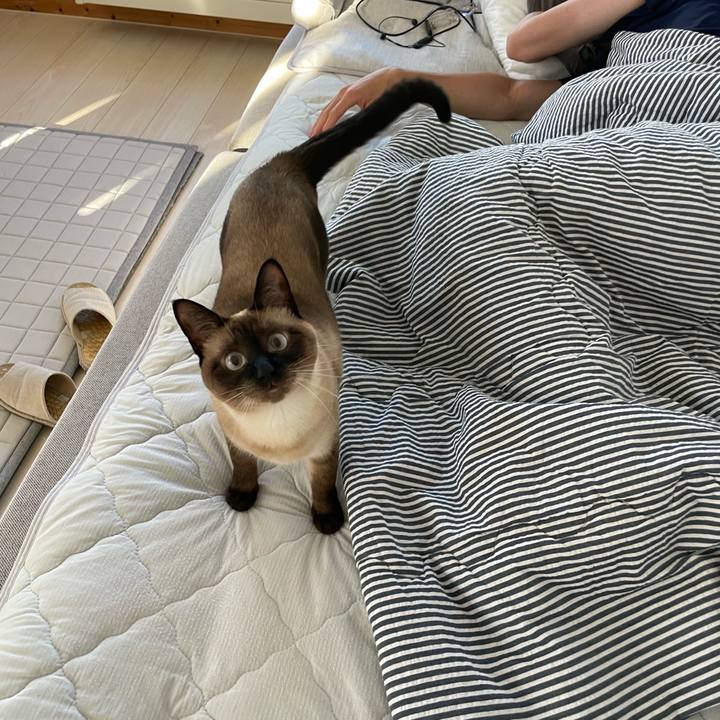 07f57e6e d279 4525 9d2b aab6c62d5374 1755034146695