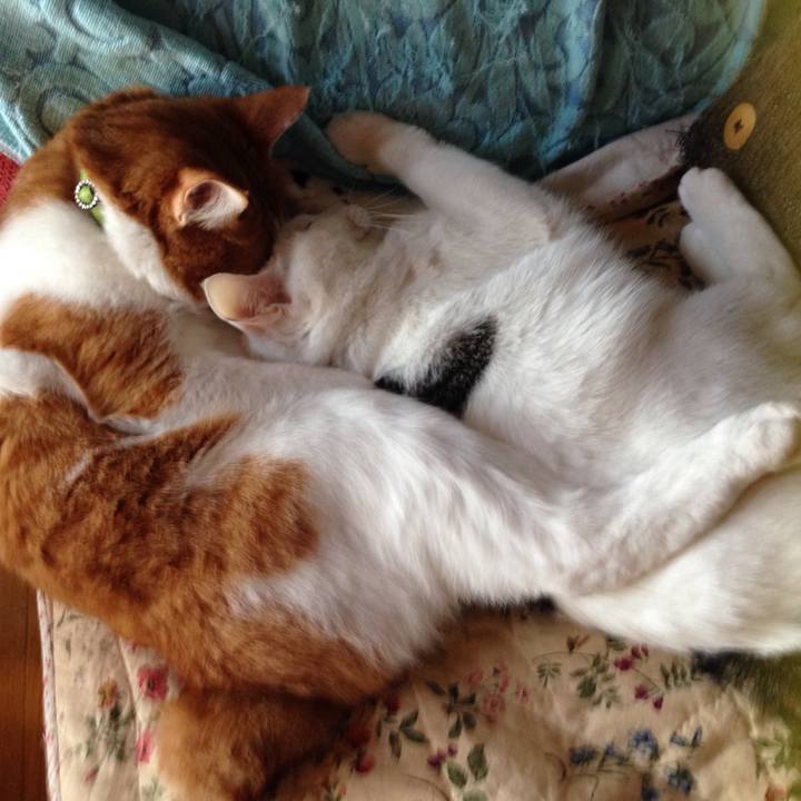 07f5abef b44e 4c62 b3e9 7cb6d66d8b65 1508104609655