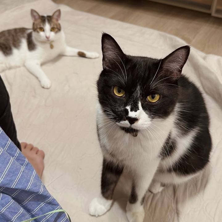 07f5b85b 6eba 49dd 9d14 04cefb33e0fd 1760959064850