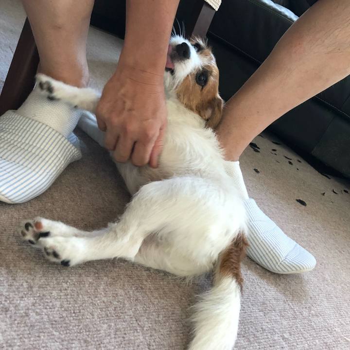 07f61397 2394 467d b0a1 3ecd0830828e 1538897284845