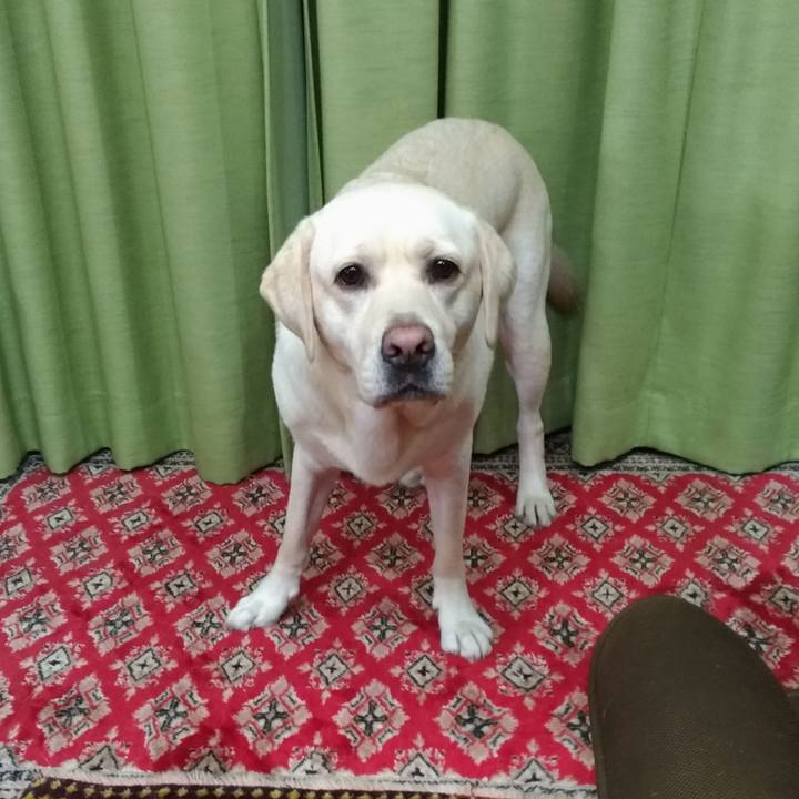 07f6ab9a e206 4fab b0d5 8aea7840864f 1538071524208