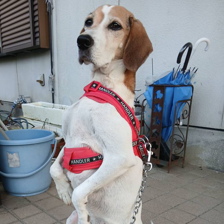 07f6c22a fcdb 4082 ad5d 24e7001af5f0 1758629635587