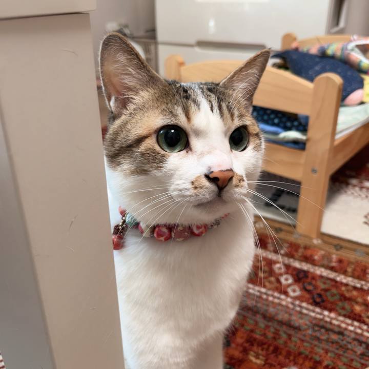 07f6cc23 f6ad 487f a907 365c1ef9e283 1744719759468