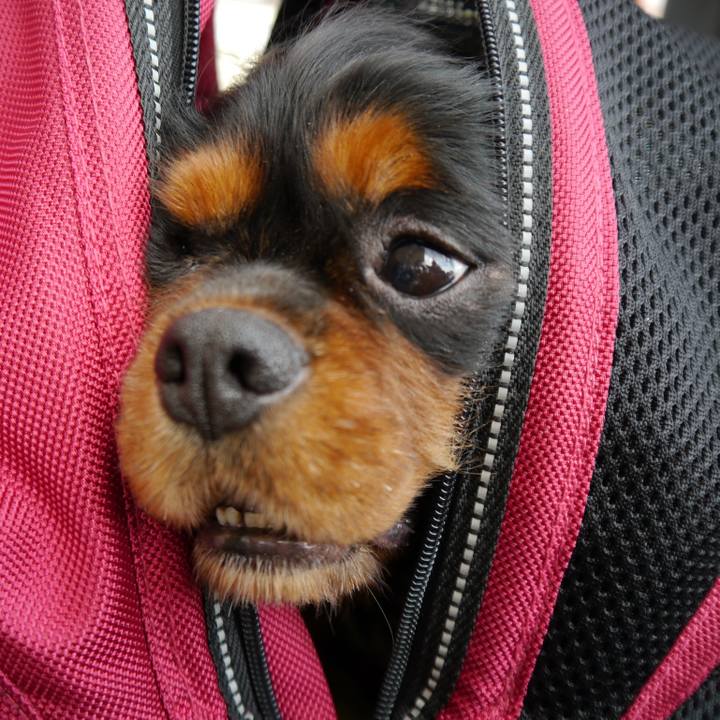 07f6ccee 5dbc 4eff 9ccf c9aac1fce710 1511016218405