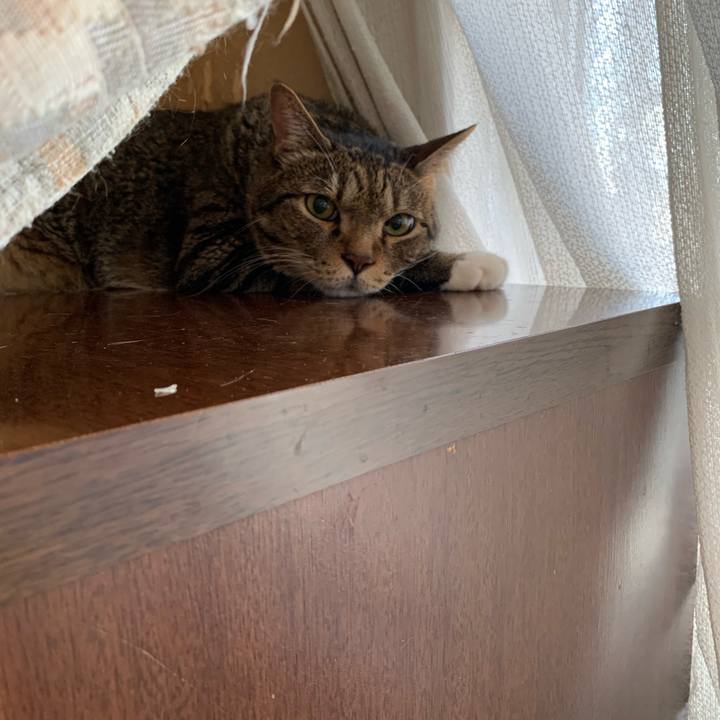 07f71124 7735 4c81 b6dc c266d22385fa 1626923215064