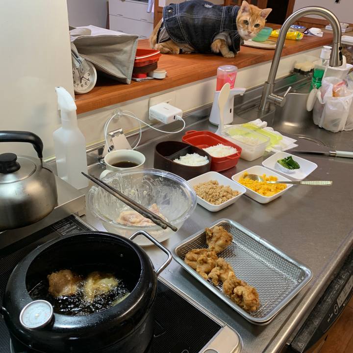 07f728cf 4458 41c7 878d 2c099c8309ad 1649798423047