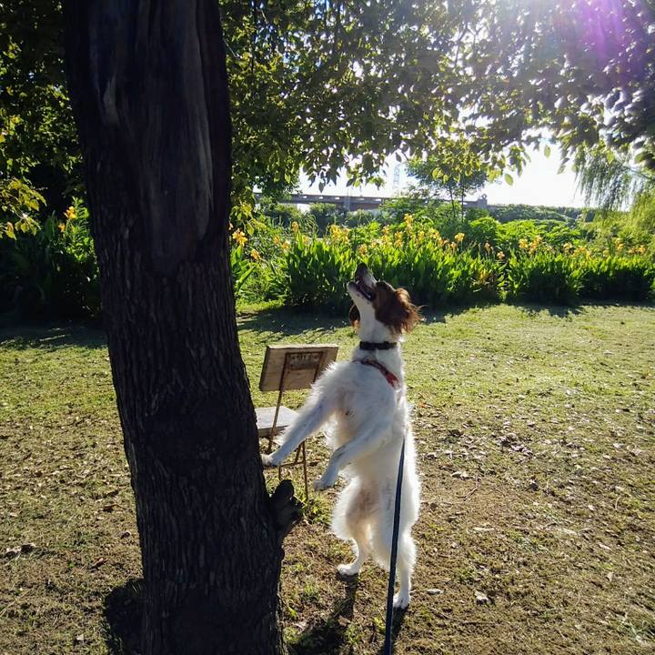 07f74e90 de88 4a97 9811 0fa5961e7b63 1564142347203