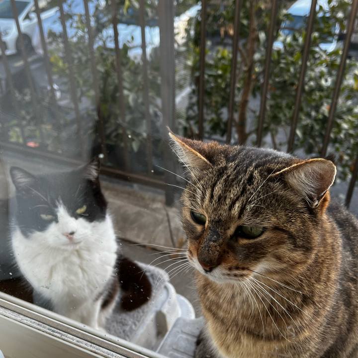 07f757e9 cb22 423a 9e27 7afd16685fbd 1770597076315