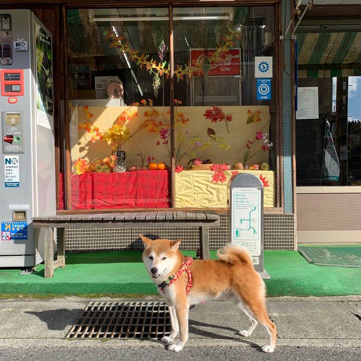 07f7c3c0 2bb2 4744 917d c61933ebceb3 1603708001766