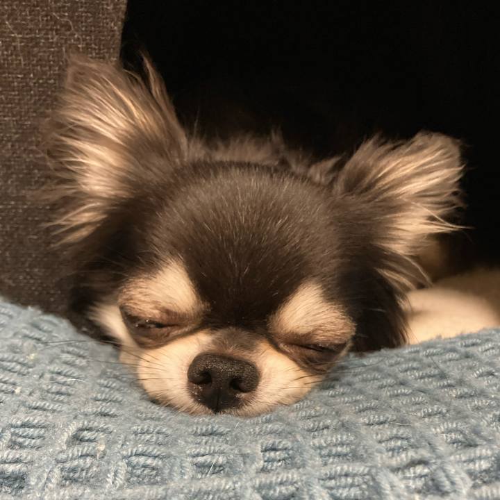 07f88ae9 8256 4b43 84d2 40f4232484e6 1660658254418