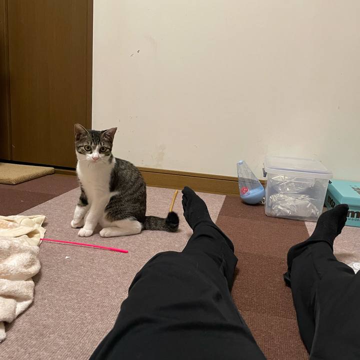 07f89016 8087 4153 9f5b 138b9ce0112f 1727954145856