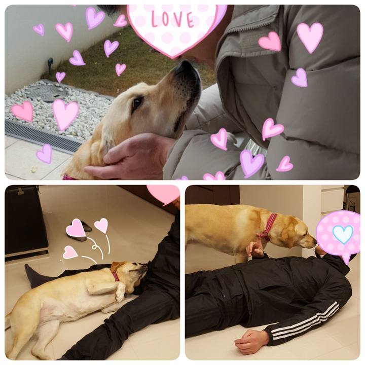 07f8a8b4 3442 4793 94fa bbcbc164bd51 1519904654707