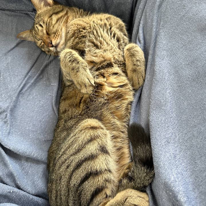 07f8b21f 3936 4f01 919d 8f7af5b7770a 1758585992213