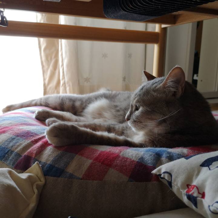 07f8b761 40db 46fb bb4d 202472b95295 1559374139450