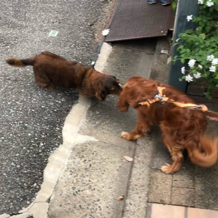 07f8c76e 7b9d 40f1 a523 cf6b5fdc2124 1632903200241