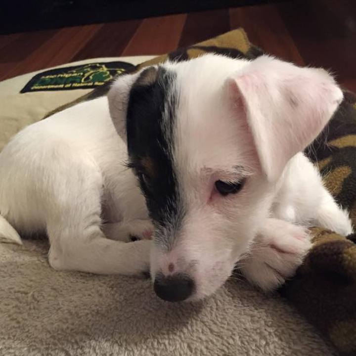 07f8d8b2 6883 4fe1 8ca1 efaf7604f953 1549513270546