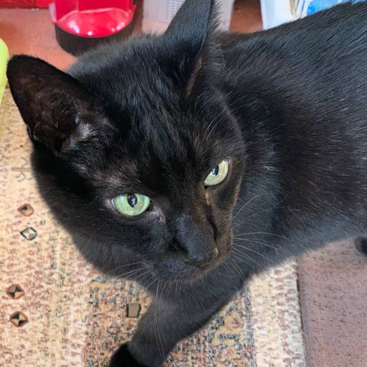 07f8e31d 23b9 4d18 b4fe b2e6654c6014 1587690938288