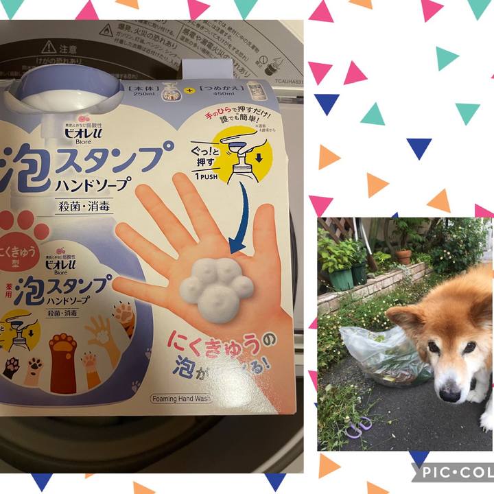 07f8f55f 5796 4aa7 83e2 5bb1dfc4ee9b 1629520457311