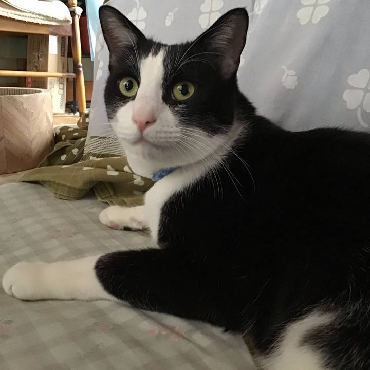 07f8fd83 2350 4b51 a0e8 c66d76ea0e9b 1700123870045