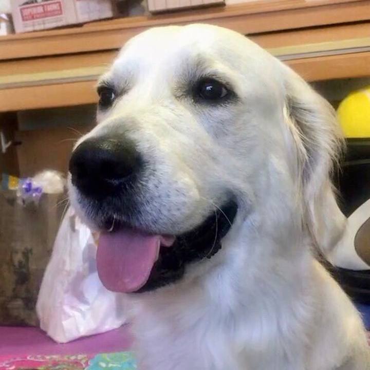 07f90424 78ce 40cf 8f17 8088af09bc08 1533652044150