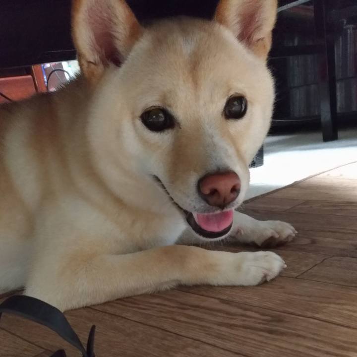 07f92805 a182 4ab5 824a 00708e302a9e 1530790166221