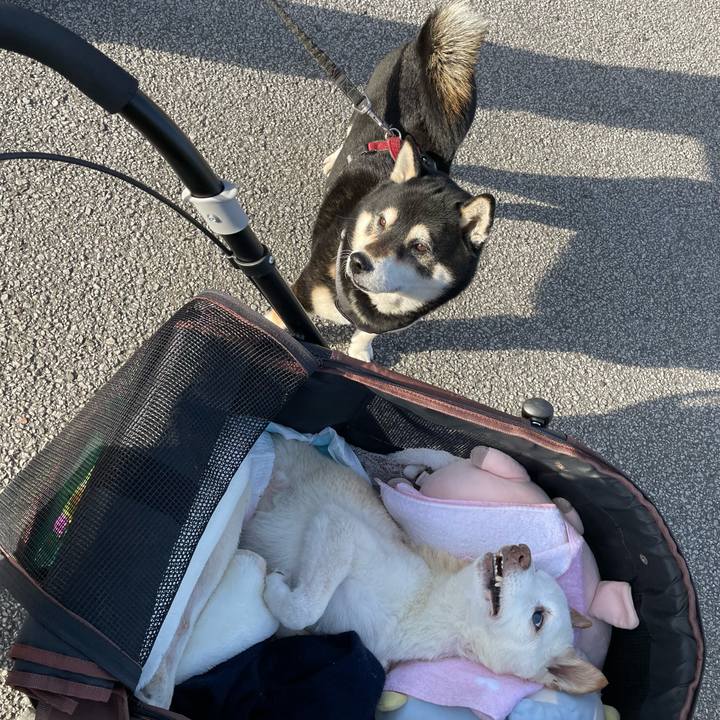 07f93bf5 6eb0 43cf aba6 2f7ad70d6d2f 1676373055228